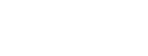 Vista Spine Management